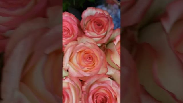 Букет роз Джумилия. Букет №149. #доставкацветов #букетыназаказ #розы #цветымосква #roses #bouquet смотреть онлайн