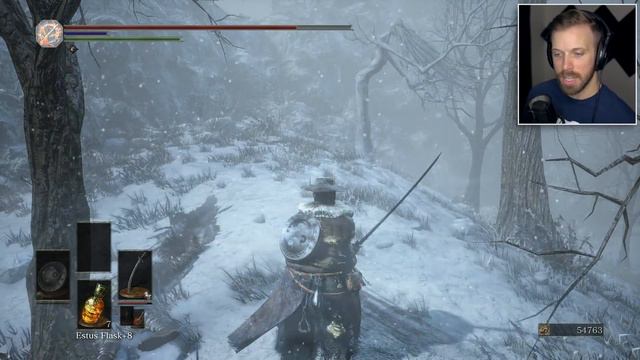 A SCHMUP REBORN: THE MOANING FLAME | Dark Souls 3 (Ashes of Ariandel DLC) Part 1 смотреть онлайн