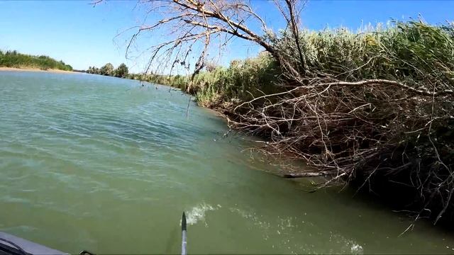 Рыбалка на реке КАРАТАЛ! Река где обитают трофеи. ПЯТЬ ДНЕЙ НА БЕРЕГУ!.. Август 2023 Сазан Жерех Со смотреть онлайн