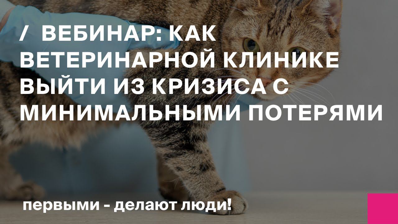 Как ветеринарной клинике сохранить постоянных клиентов и выйти из кризиса с минимальными потерями смотреть онлайн