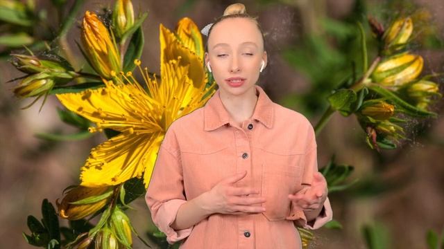 ЗВЕРОБОЙ / ПОЧЕМУ ТАКОЕ НАЗВАНИЕ / RELAX от VIVASAN