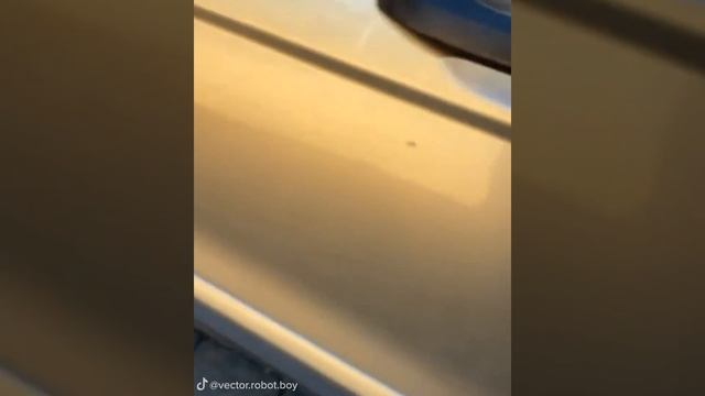 Vector Robot Wall E Painted