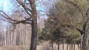 Ловля ОКУНЯ В АПРЕЛЕ!