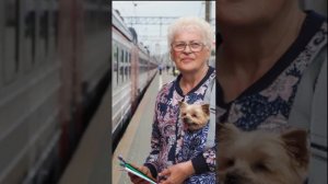 Главное успеть до 1 октября. Чтобы увеличить пенсию в 2024 году пенсионерам нужно написать заявлени