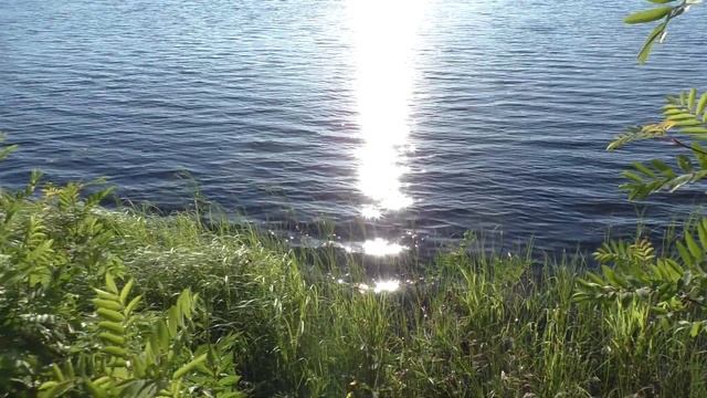 пруд солнце блики на воде смотреть онлайн