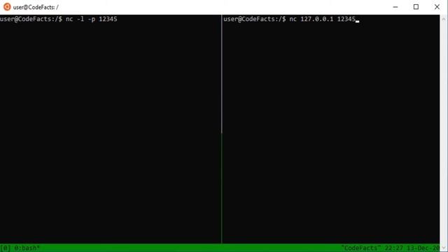 Simple TCP server/client with netcat (nc command) смотреть онлайн