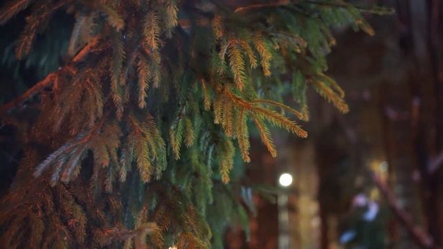 Индустар-61 ЛД | молчаливый обзор