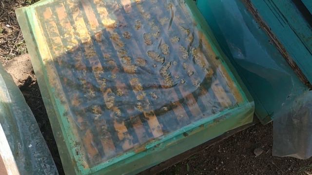 Весеннее расширение. смотреть онлайн