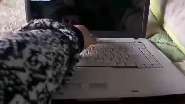 Notebook Acer Aspire 5315 смотреть онлайн