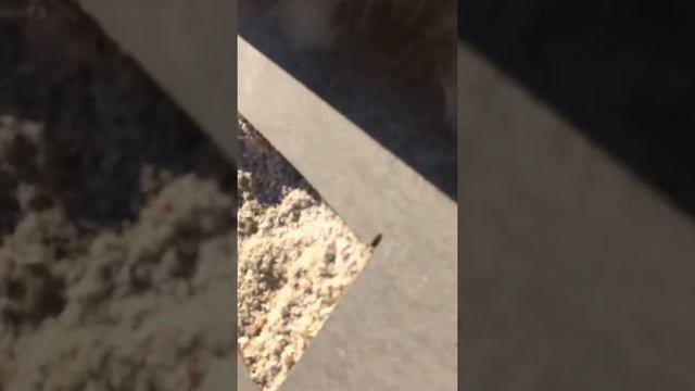 Эковата Оскол. Утепление стен эковатой. Адгезия, прилепание эковаты к металлу. 2019год смотреть онлайн