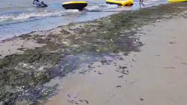 0512: пляж в Коблево смотреть онлайн