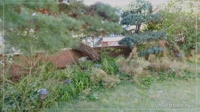 (VOSTFR) [ASTRO PLAY] Le point de vue d'Eun-Woo ?? смотреть онлайн