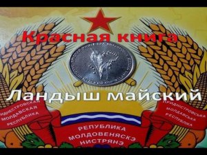 Красная книга - Ландыш майский