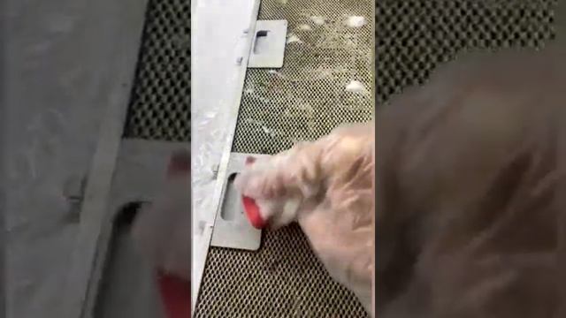 Ого как круто вытяжку отмыла? смотреть онлайн