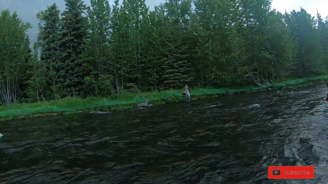 How To Fish The Russian River Alaska - CATCH YOUR LIMIT!!! смотреть онлайн