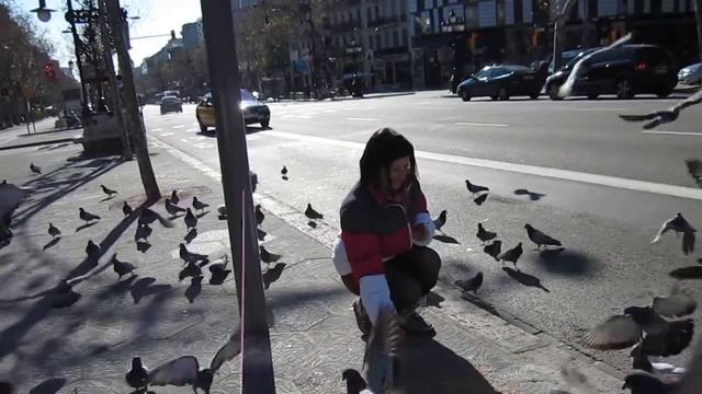 Аня кормит голубей на остановке в Барселоне смотреть онлайн