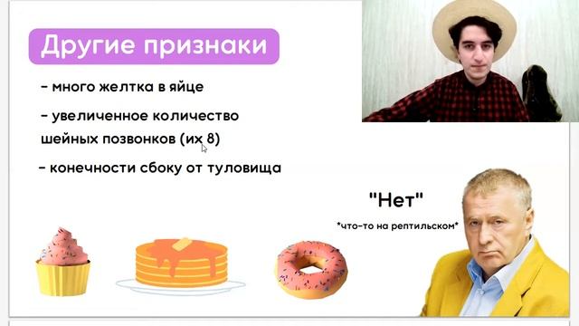 Класс Рептилии | Все Ароморфозы и характеристика | Разбор яйцевых оболочек Biocoma смотреть онлайн