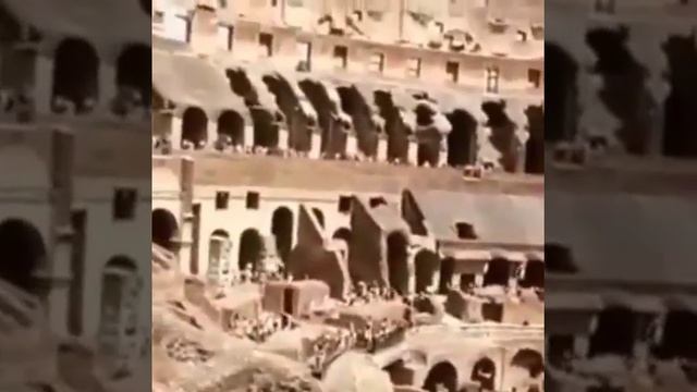 Дрались гладиолусы на мечах смотреть онлайн