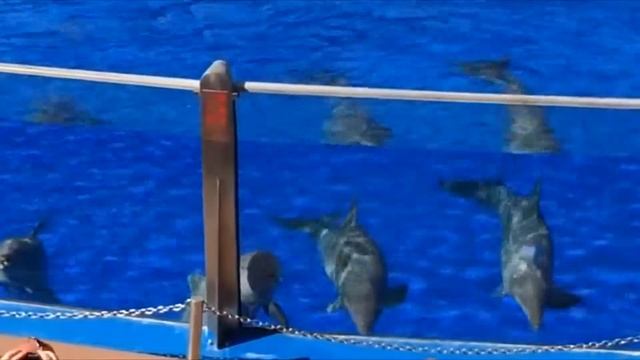 Курорт Гран Канария - отдых на Канарах - Испания - Gran Canaria Island