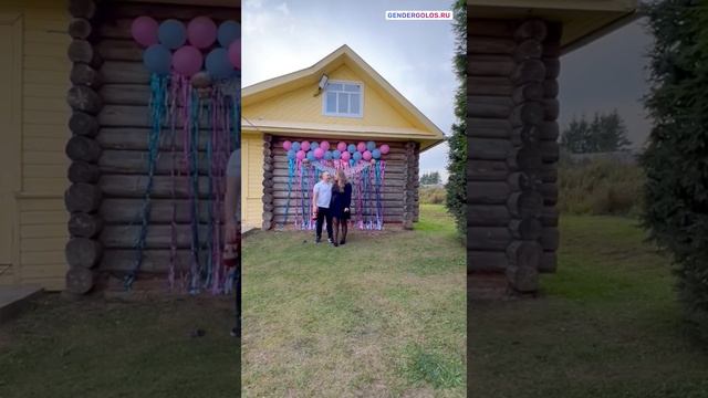 Идеи для гендер пати - голос ребёнка для определения пола будущего малыша мальчик или девочка