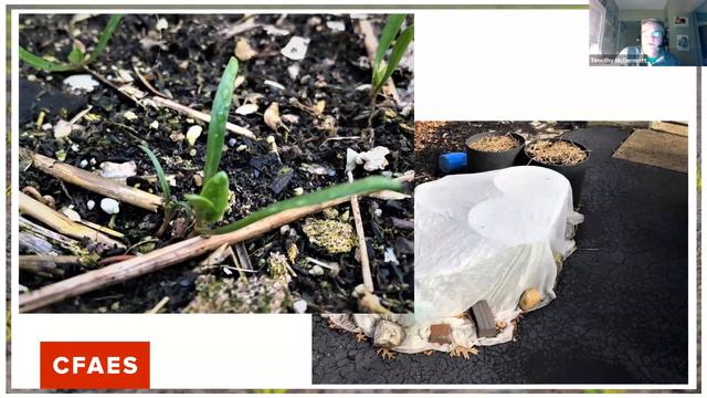 2021 Spring Planning and Planting смотреть онлайн