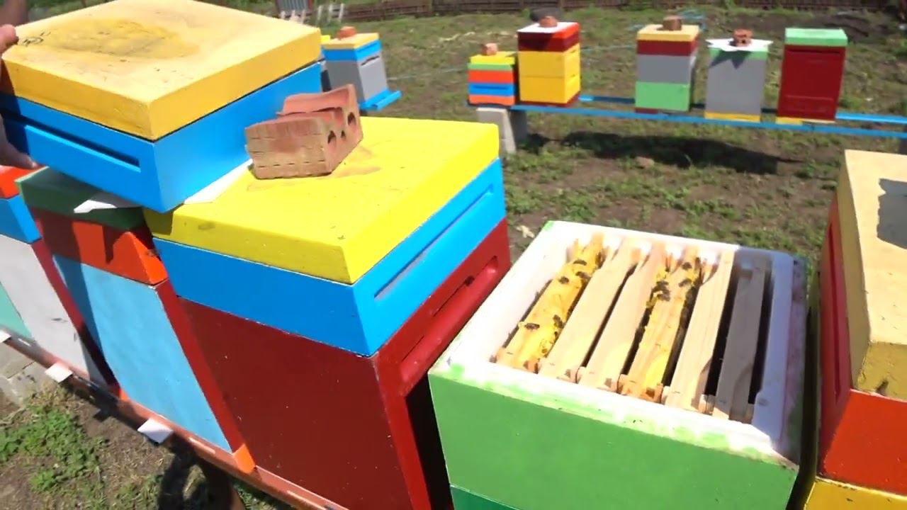 О МИНИ ПЛЮСАХ, И РАБОТЕ С НИМИ. смотреть онлайн