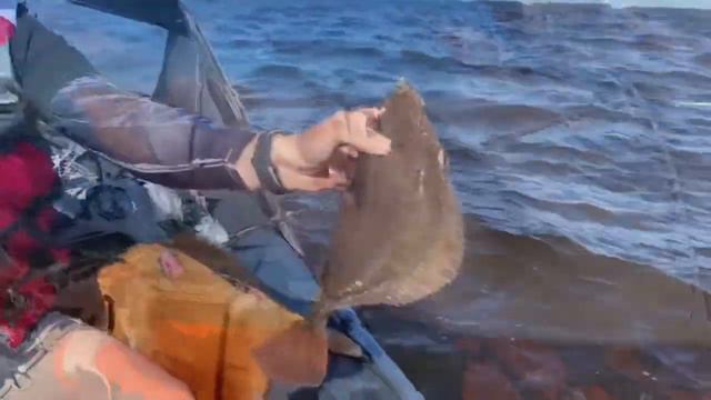 Рыбалка на Белом море🌊Ловим камбалу🎣Такую гигантскую камбалу я ещё не ловила🙈 смотреть онлайн