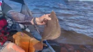 Рыбалка на Белом море🌊Ловим камбалу🎣Такую гигантскую камбалу я ещё не ловила🙈