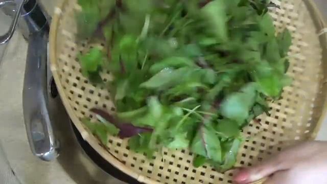 Корейская кухня: закуска из листового салата или котчори (겉절이) смотреть онлайн