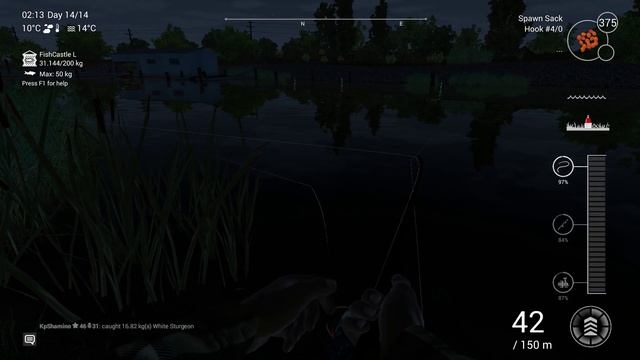 Fishing Planet, Money Farm, California,White Sturgeon, Full Net 200kg In 1 Hour In Game Guide смотреть онлайн