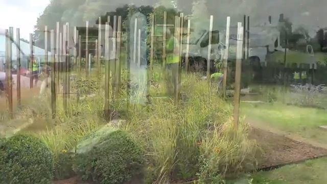 RHS Tatton Flower Show 2012 Part 1