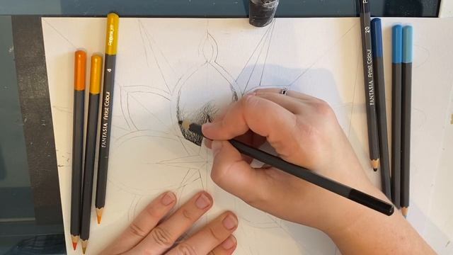 How to shade your Radial Symmetry Drawing смотреть онлайн