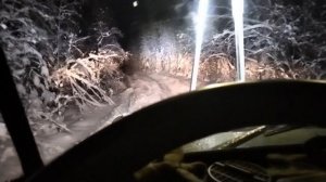работа в лесу на раскрежовке и вывозке леса