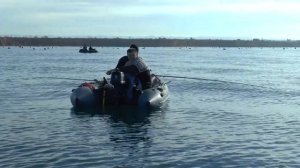 Севастополь. Рыбалка на Черном море с лодки. Луфарь, селёдка.