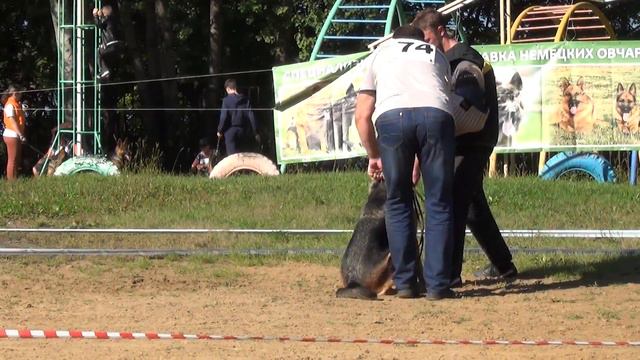 74 САНДРА С ТАВАЙЗЫ +++ лучшая мутпроба выставки смотреть онлайн