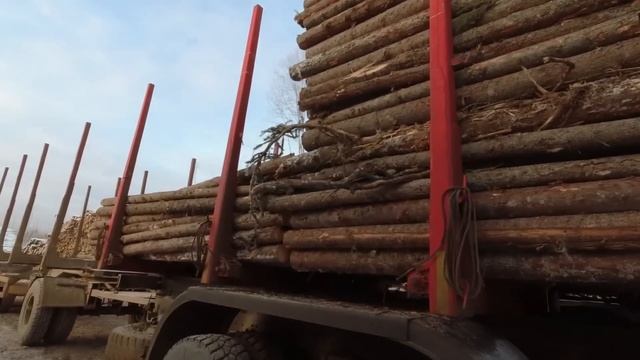 Дождались. Два месяца без работы. #маз #лесовоз #рейс смотреть онлайн