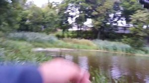 Ловля ротана в черте города