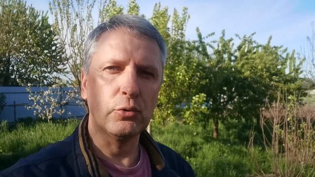 ‼️ Галловая тля на смородине ‼️ смотреть онлайн