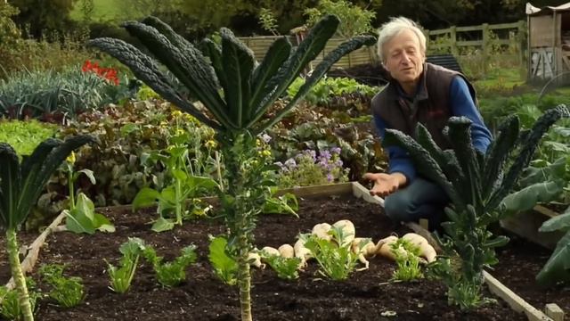 Звериный мир