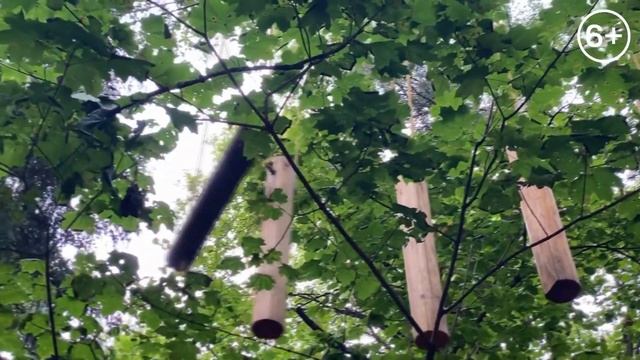 Проходим Панда-Парк, а вы бы справились? ?? Черная Трасса?? смотреть онлайн