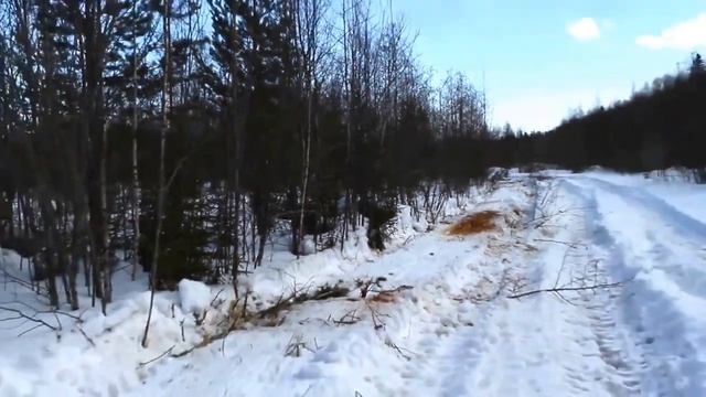 Гусеничный трактор с мульчером смотреть онлайн