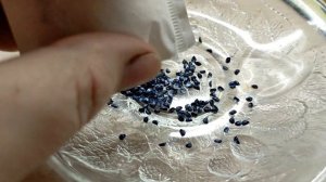 Огород на окне. Посадка лука на зелень. Сорта: Параде, Тотем, Фактор семена из магазина Леруа Мерле