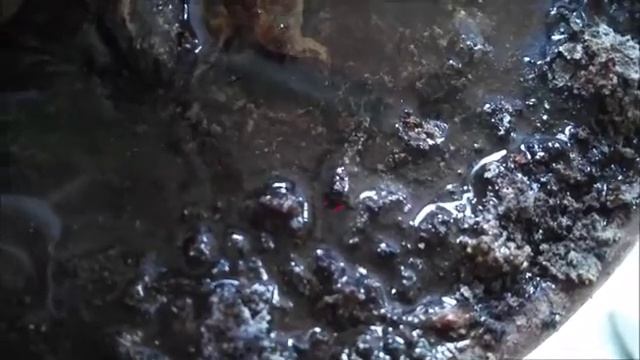 АСМР: ЗЕМЛЯ смотреть онлайн