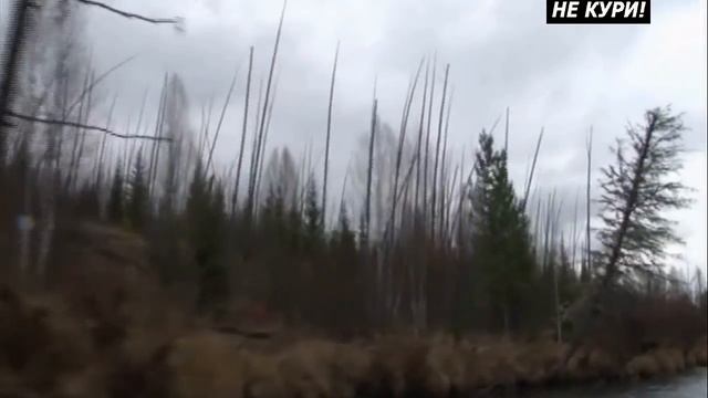 Охота на избюбря на реву на реке Илим| Полная версия - 2021г смотреть онлайн