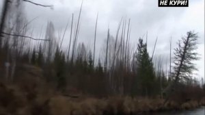 Охота на избюбря на реву на реке Илим| Полная версия - 2021г