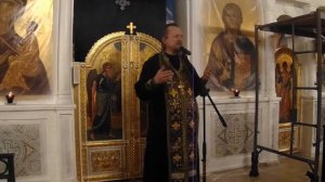 Проповедь отца Владимира на Мариино стояние (20.03.2018)