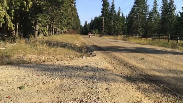 Honda 70F top speed @Ant_scoots #11yearold #fypシ #like #subscribe #viral #dirtbike смотреть онлайн