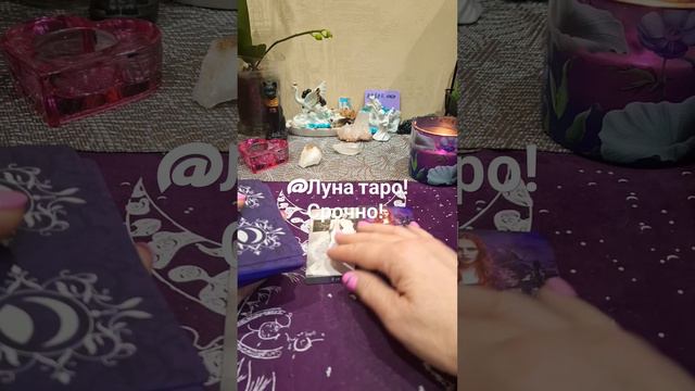 @Луна таро! Что Вам нужно узнать прямо сейчас?!! смотреть онлайн