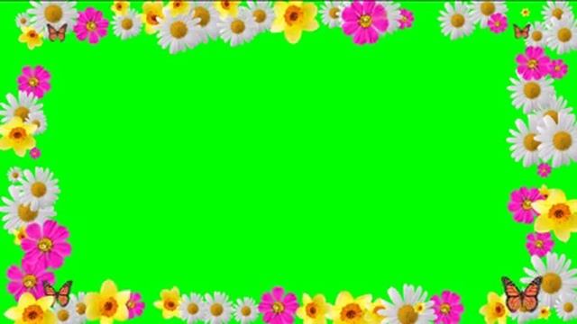 Рамка из цветов - Frame of flowers смотреть онлайн