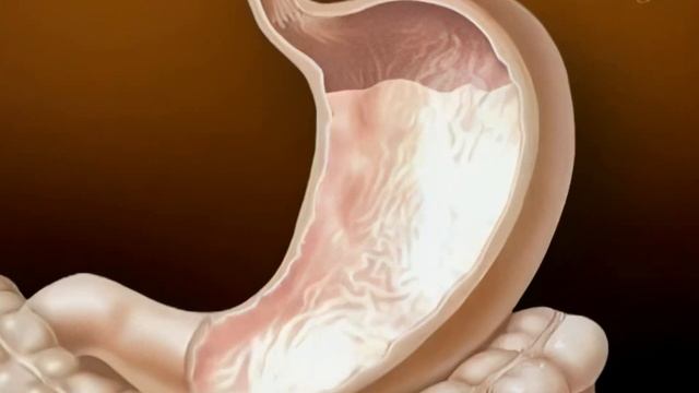 Чудо системы пищеварения | HD Upscale. Пищеварительная система человека - это поразительно! смотреть онлайн